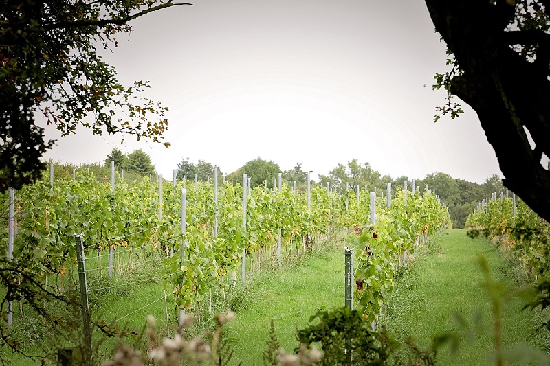 Hanwell Wine Estate